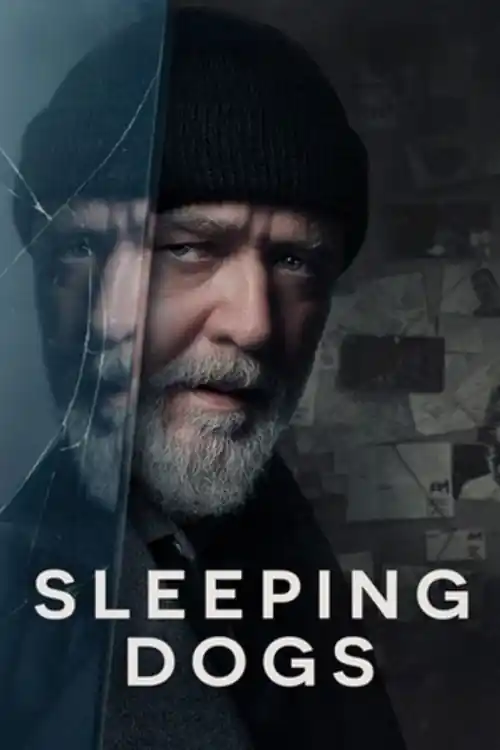 Sleeping Dogs 2024 WEB-DL Hindi Dual Audio ORG Full Movie Download 1080p  720p  480p Watch Online Free bolly4u