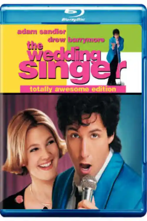 The Wedding Singer 1998 BluRay 300MB Hindi Dual Audio 480p Watch Online Free bolly4u