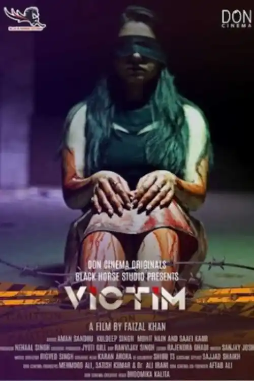 Victim 2021 WEB-DL 300Mb Hindi Movie Download 480p Watch Online Free bolly4u