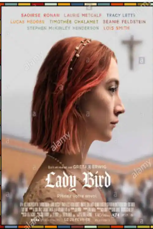 Lady Bird 2017 BluRay 300MB Hindi Dual Audio 480p Watch Online Full Movie Download bolly4u