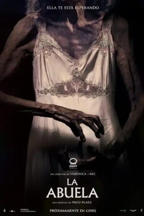 The Grandmother 2021 BluRay Hindi Dual Audio Full Movie Download 720p  480p Watch Online Free bolly4u