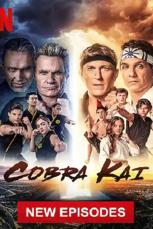 Cobra Kai 2021 WEB-DL 1.1Gb Hindi Dual Audio S04 Download 480p Watch Online Free bolly4u