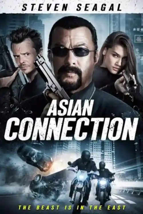 The Asian Connection 2016 BluRay Hindi Dual Audio Full Movie Download 720p  480p Watch Online Free bolly4u