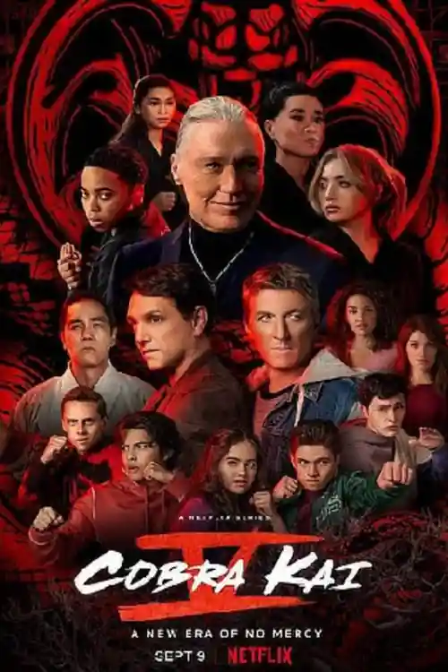 Cobra Kai 2022 Hindi Dubbed S05 All Episodes Download HDRip 720p 480p bolly4u