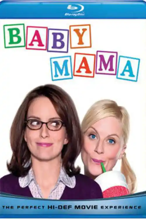 Baby Mama 2008 BluRay 750MB Hindi Dual Audio 720p ESub Watch Online Full Movie Download bolly4u