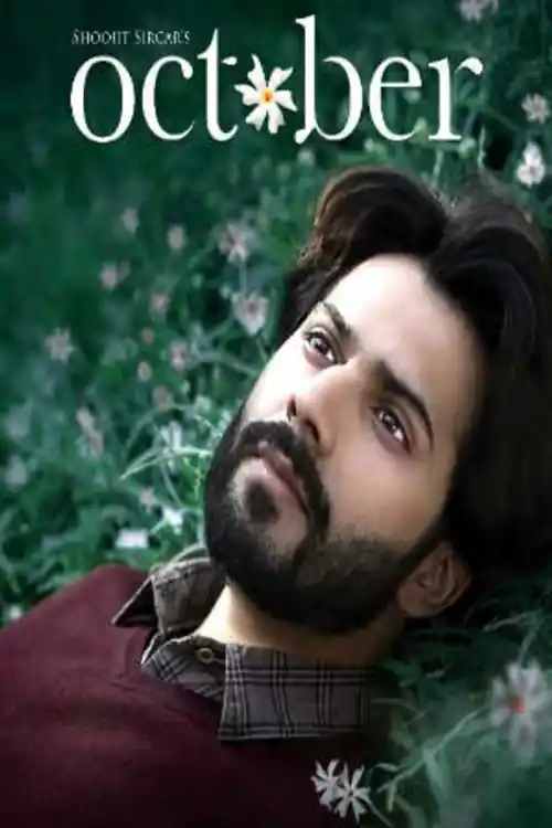 October 2018 BluRay 800Mb Full Hindi Movie Download 720p ESub Watch Online Free bolly4u
