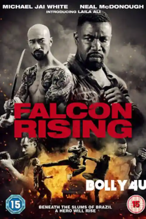 Falcon Rising 2014 BRRip 300Mb Hindi Dual Audio 480p Watch Online Full Movie Download Bolly4u