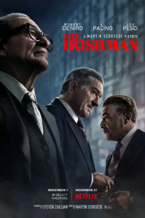 The Irishman 2019 WEB-DL 650MB Hindi Dual Audio 480p Watch Online Full Movie Download bolly4u