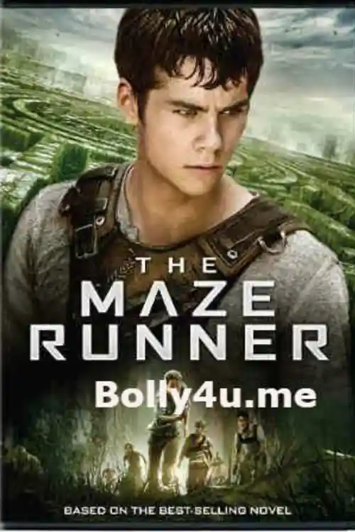 The Maze Runner 2014 BluRay 850Mb Hindi Dual Audio ORG 720p Watch Online Full Movie Download bolly4u