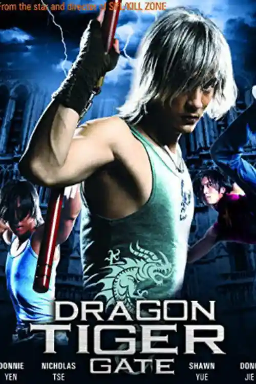 Dragon Tiger Gate 2006 BRRip 300Mb Hindi Dual Audio 480p Watch online Full Movie Download bolly4u