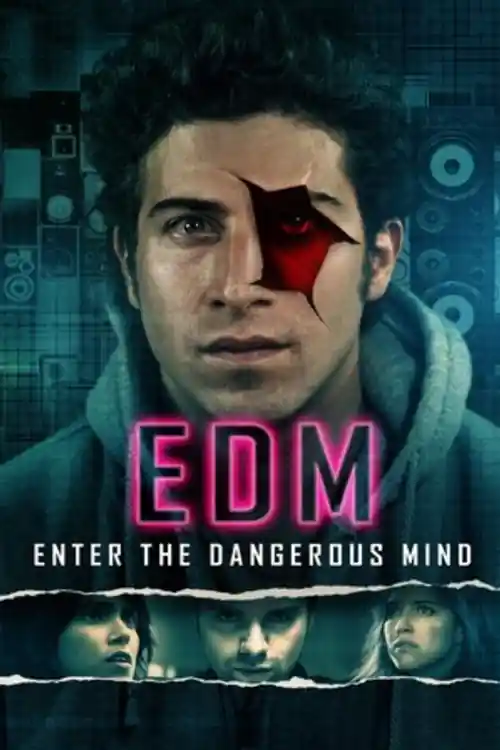 Enter the Dangerous Mind 2013 BluRay Hindi Dual Audio Full Movie Download 720p  480p Watch Online Free bolly4u