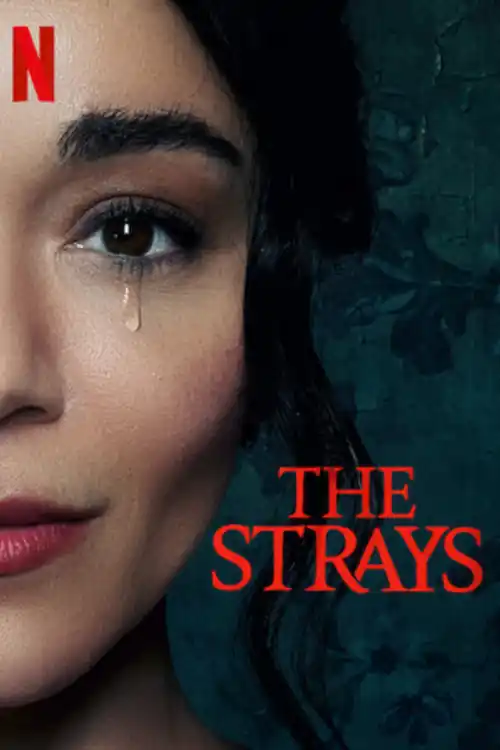 The Strays 2023 WEB-DL Hindi Dual Audio ORG Full Movie Download 1080p  720p  480p Watch Online Free bolly4u