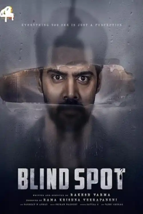 Blind Spot 2025 WEB-DL Hindi Dual Audio ORG Full Movie Download 1080p  720p  480p Watch Online Free bolly4u